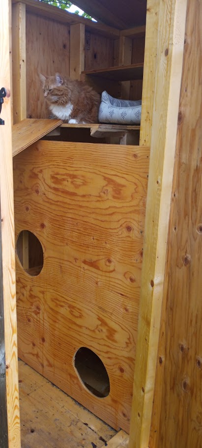 Custom Carpentry & Woodwork