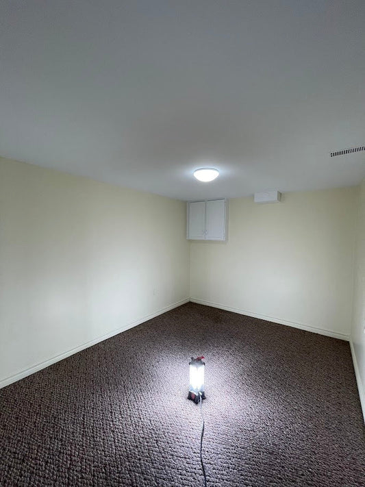 Basement Renovation in Newcastle: A Room Update