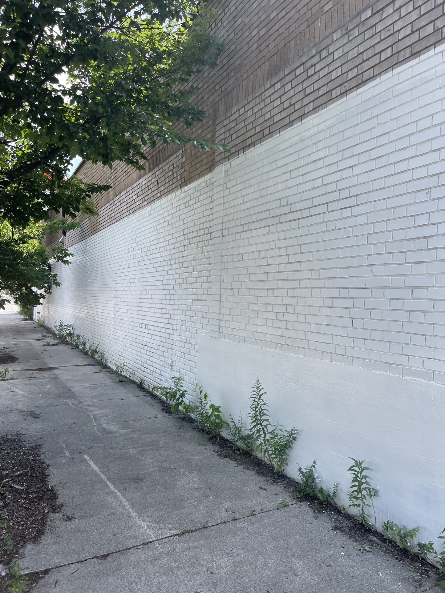 Professional house painters Clarington