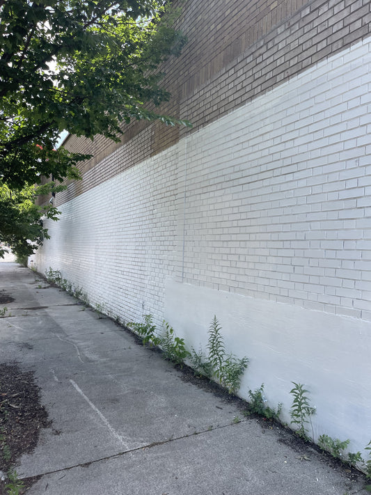 Professional house painters Clarington