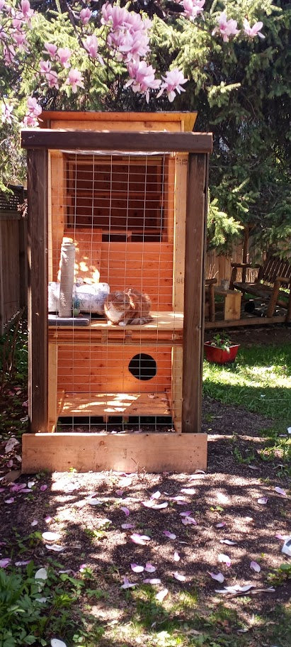 Custom Carpentry & Woodwork